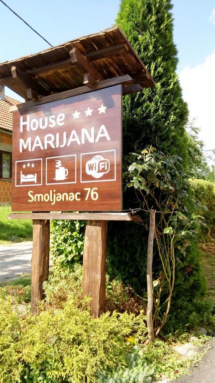 House Marijana Villa Smoljanac Bagian luar foto